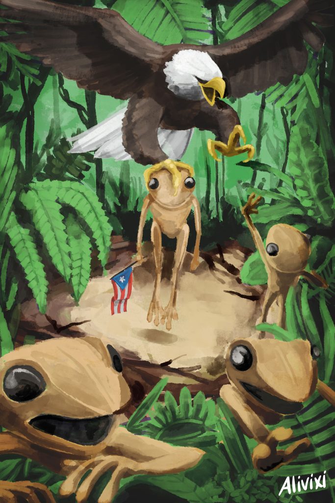 Americans enter Puerto Rico demanding to silence the native frog of the land
